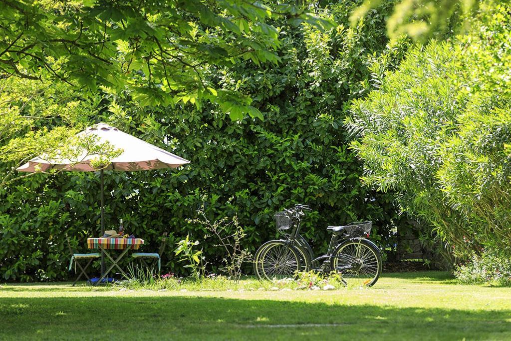 Les Gites Du Domaine De Rhodes Avignon Exterior photo