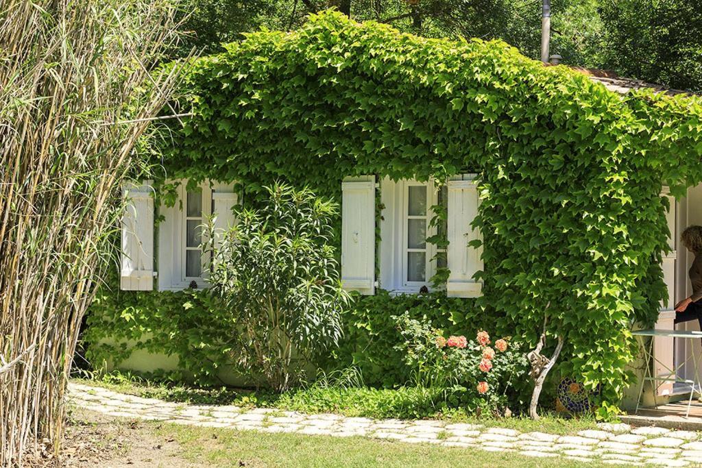 Les Gites Du Domaine De Rhodes Avignon Room photo